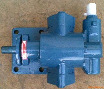 河北泰盛公司KCB不锈钢齿轮泵的闪光点