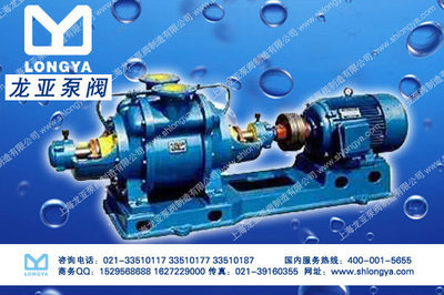 【上海微型真空泵z512-7506】价格,厂家,图片,真空泵,上海龙亚泵阀制造-